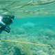 85- Bastien chasse le requin 
